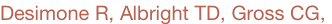 shapeimage_3_link_0
