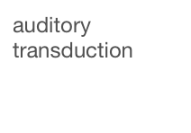 auditory transduction
